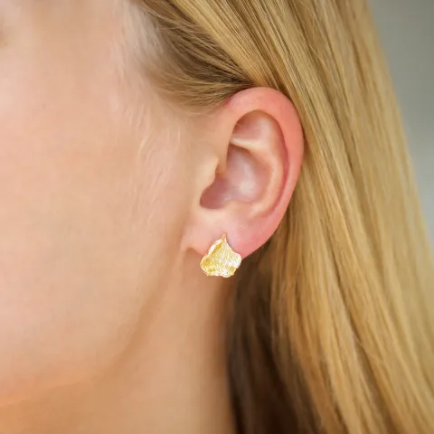 Ohrringe in vergoldetes Messing - Eliné