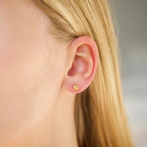5 mm Wasserfester Ohrstecker in vergoldetem Stahl - OCEANA