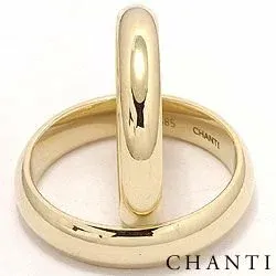 Trauringe aus 14 Karat Gold - set
