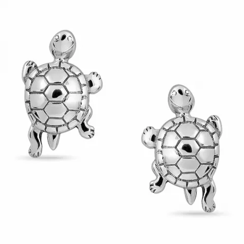 Schildkröte Ohrringe in Silber