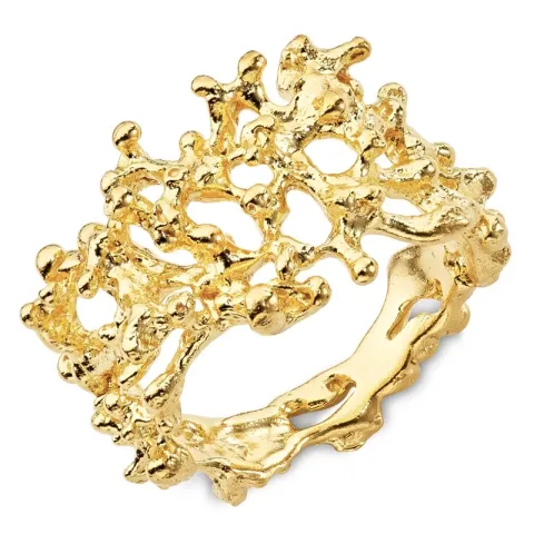 Ring aus vergoldetem Sterlingsilber