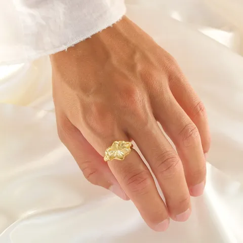 Ring aus vergoldetem Sterlingsilber