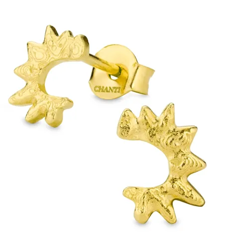 Ohrringe in vergoldetes Messing - Eliné