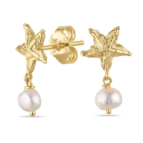 Seestern Perle Ohrringe in vergoldetes Messing - Eliné