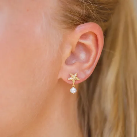 Seestern Perle Ohrringe in vergoldetes Messing - Eliné