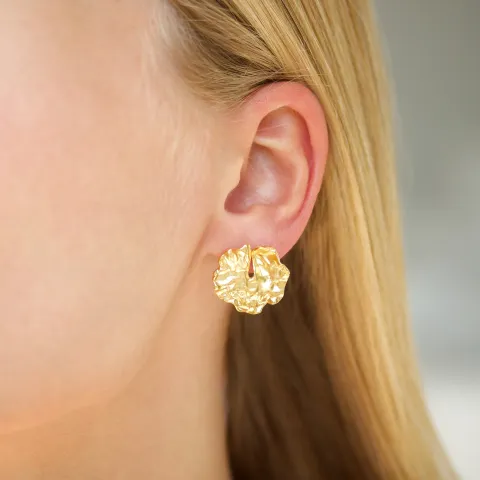 Ohrringe in vergoldetes Messing - Eliné