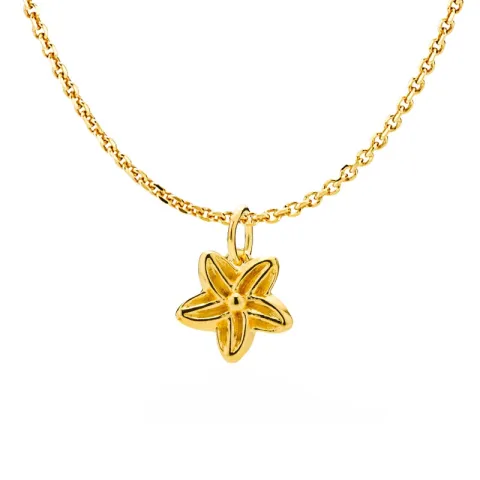 Izabel Camille Rosalina Halskette mit Anhänger in vergoldetem Sterlingsilber