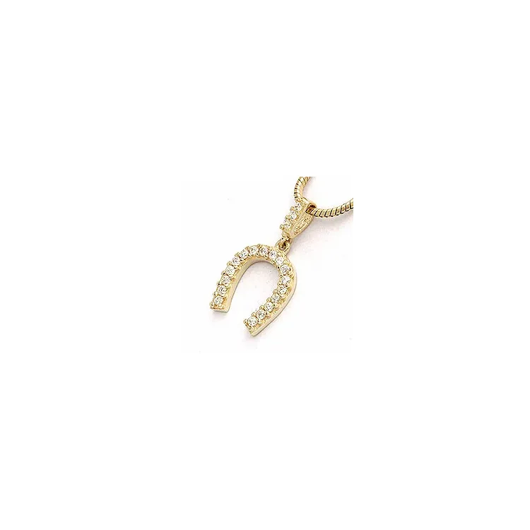 Hufeisen Zirkon Anhänger aus 9 Karat Gold