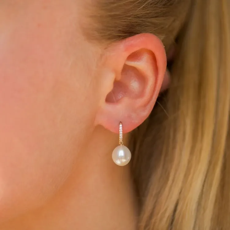 Perleohrringe in 9 Karat Gold mit Zirkon - Gold Collection