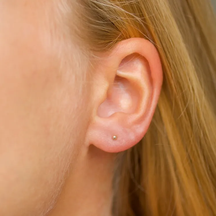 2 mm Kugel Ohrstecker in 14 Karat Gold - Gold Collection