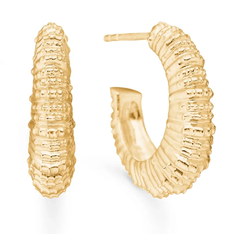 Studio Z Seashell Secrets Ohrstecker in vergoldetem Sterlingsilber