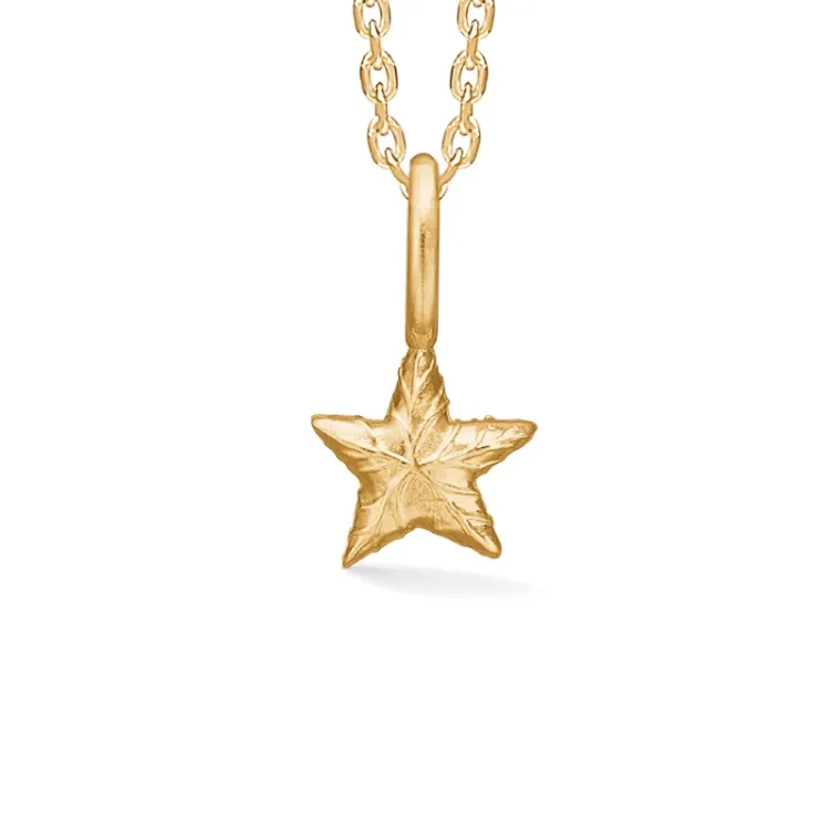 Studio Z Shiny Star Halskette in vergoldetem Sterlingsilber