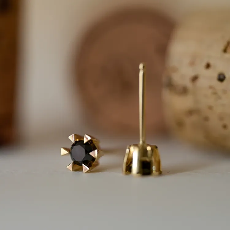 2 x 0,21 ct schwarzem Solitärohrstecker in 14 Karat Gold mit schwarz Diamant