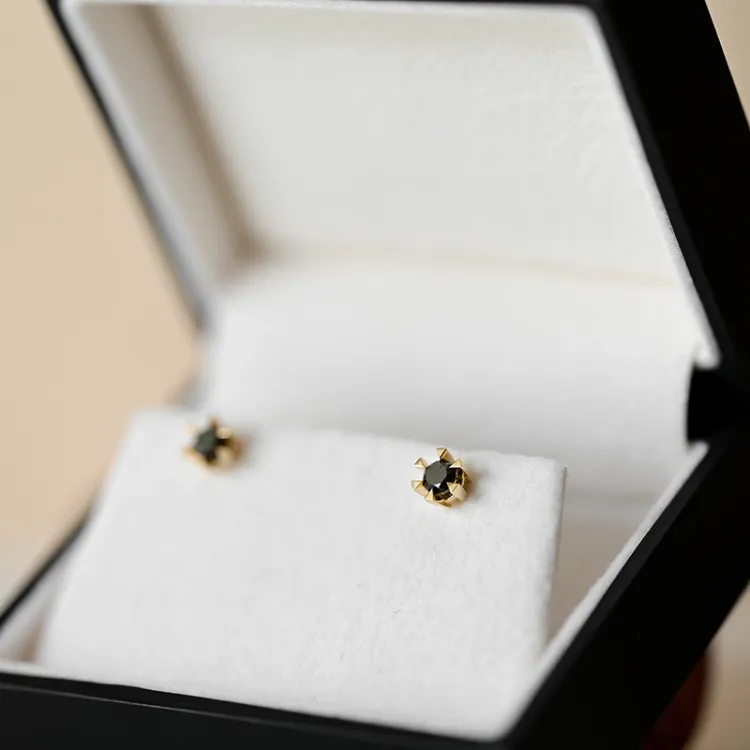 2 x 0,21 ct schwarzem Solitärohrstecker in 14 Karat Gold mit schwarz Diamant