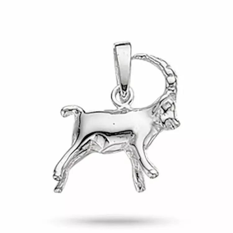 Scrouples sternzeich steinbock Anhänger in Silber
