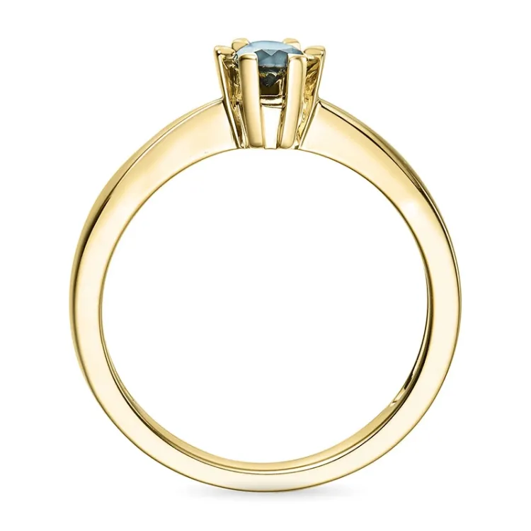 0,20 ct schwarz Diamant Solitärring in 14 Karat Gold 0,20 ct
