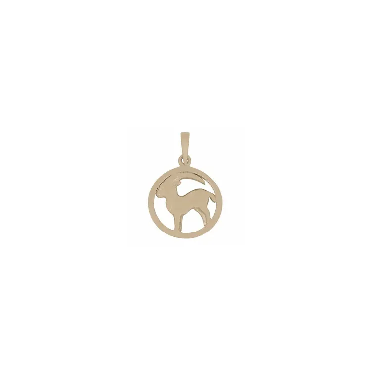 12 mm Siersbøl sternzeich steinbock Anhänger in 14 Karat Gold