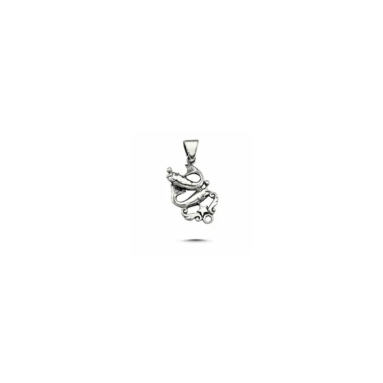 Sternzeich fische Anhänger aus Silber
