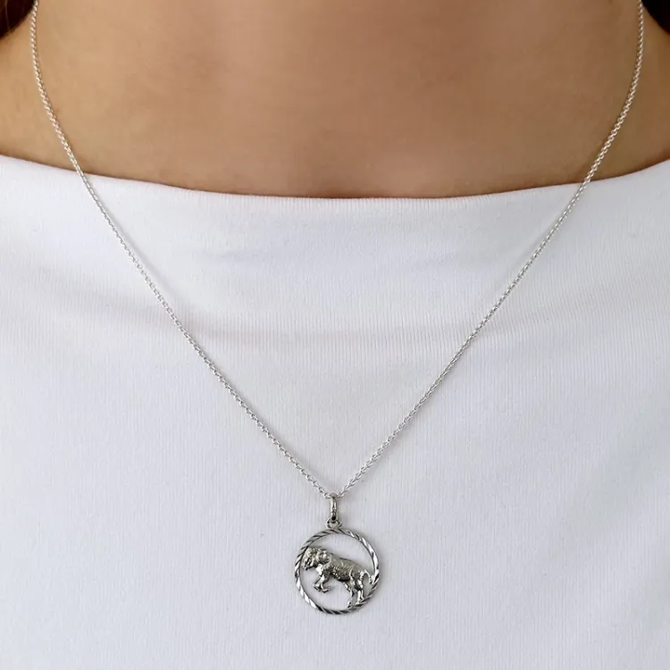 sternzeich widder Anhänger aus Silber