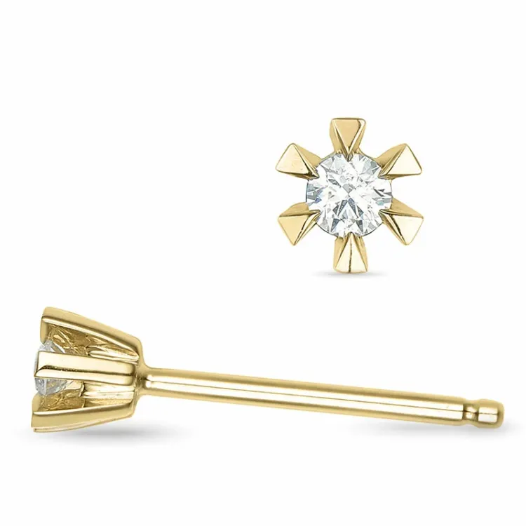 2 x 0,03 ct lab grown Diamant Solitärohrstecker in 9 Karat Gold mit lab grown Diamant 