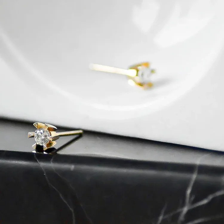 2 x 0,20 ct lab grown Diamant Solitärohrstecker in 14 Karat Gold mit lab grown Diamant 