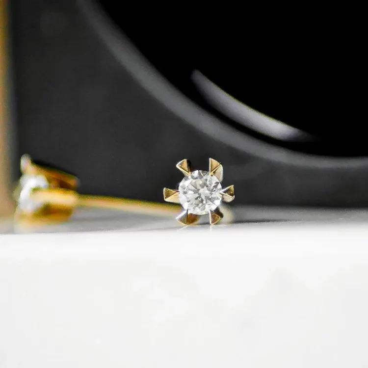2 x 0,20 ct lab grown Diamant Solitärohrstecker in 14 Karat Gold mit lab grown Diamant 