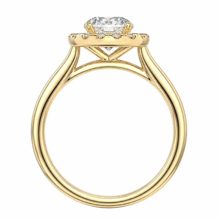 lab grown Diamant Ring in 14 Karat Gold 1,0 ct 0,21 ct