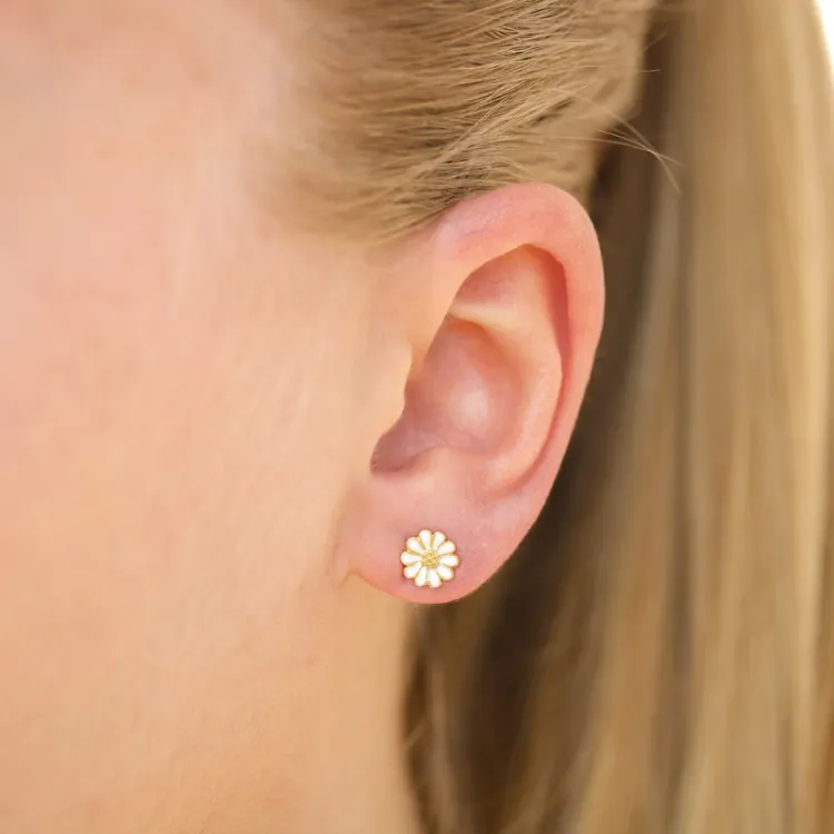 6,5 mm Marguerite Ohrstecker in vergoldetem Silber - Maggie
