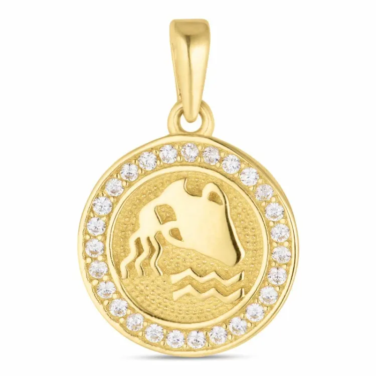 sternzeich wassermann Zirkon Anhänger aus 8 Karat Gold