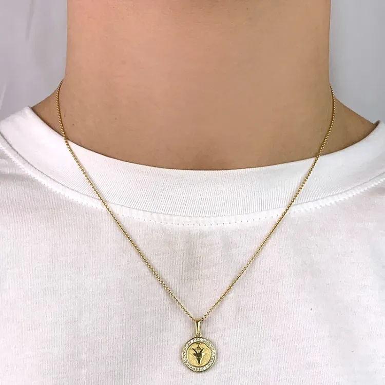 sternzeich steinbock Zirkon Anhänger aus 8 Karat Gold - Gold Collection