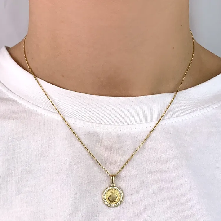 sternzeich löwe Zirkon Anhänger aus 8 Karat Gold - Gold Collection
