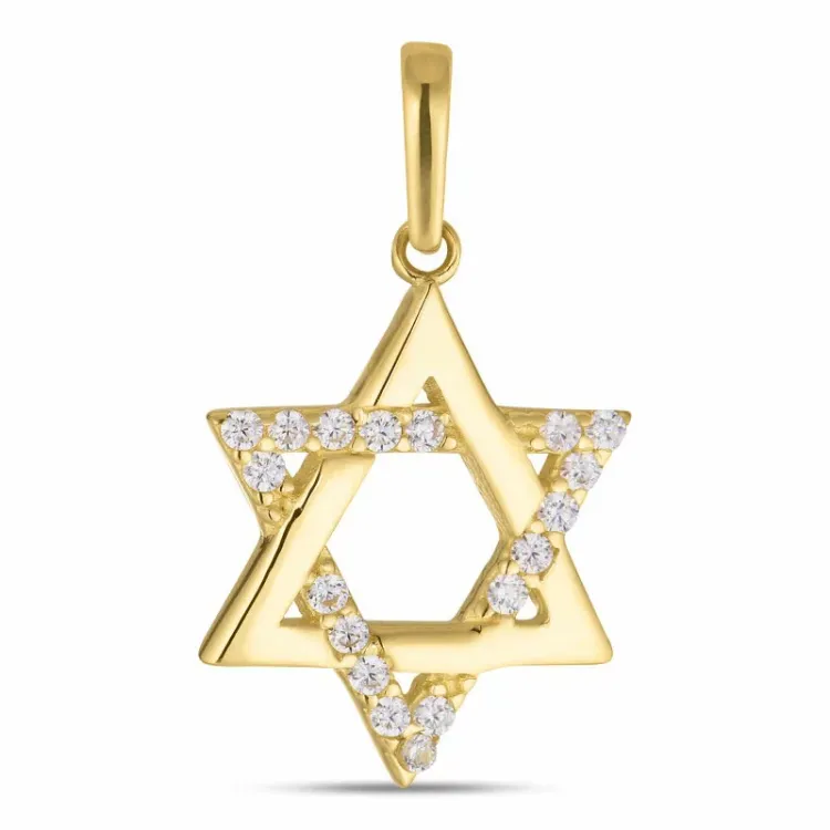 Davidstern Zirkon Anhänger aus 8 Karat Gold - Gold Collection