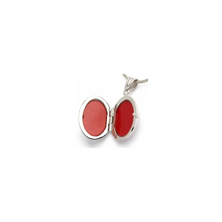 Medaillon aus Silber