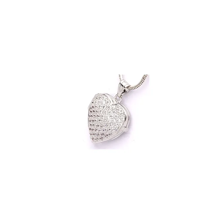 Medaillon aus Silber
