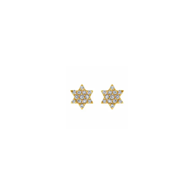 Stern Diamant Ohrstecker in 14 Karat Gold mit Diamanten