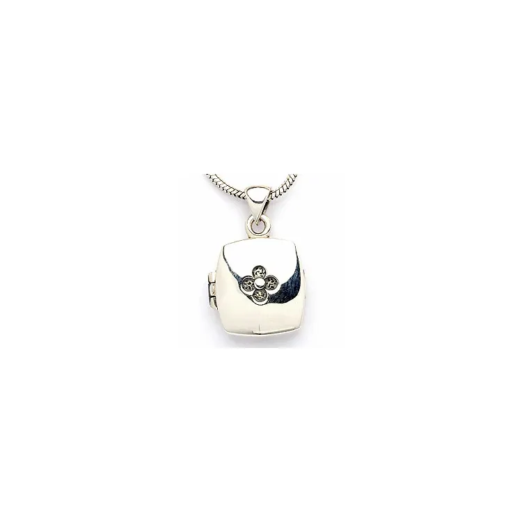 Medaillon aus Silber 