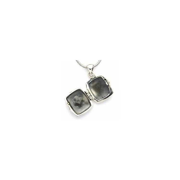 Medaillon aus Silber 