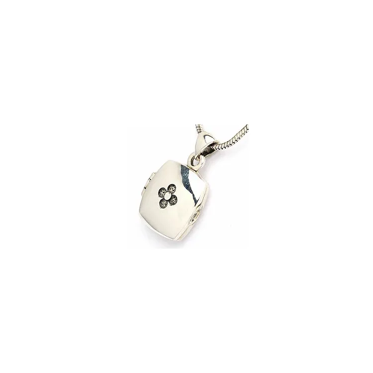 Medaillon aus Silber 