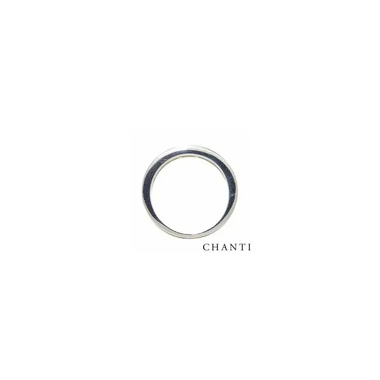 Einfacher zirkon ring aus silber