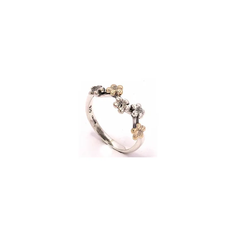 Ring aus oxidiertem Sterlingsilber mit 8 Karat Gold