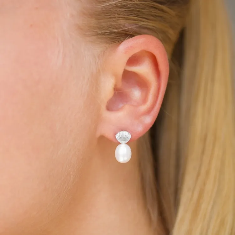 Schale Perle Ohrringe in Silber
