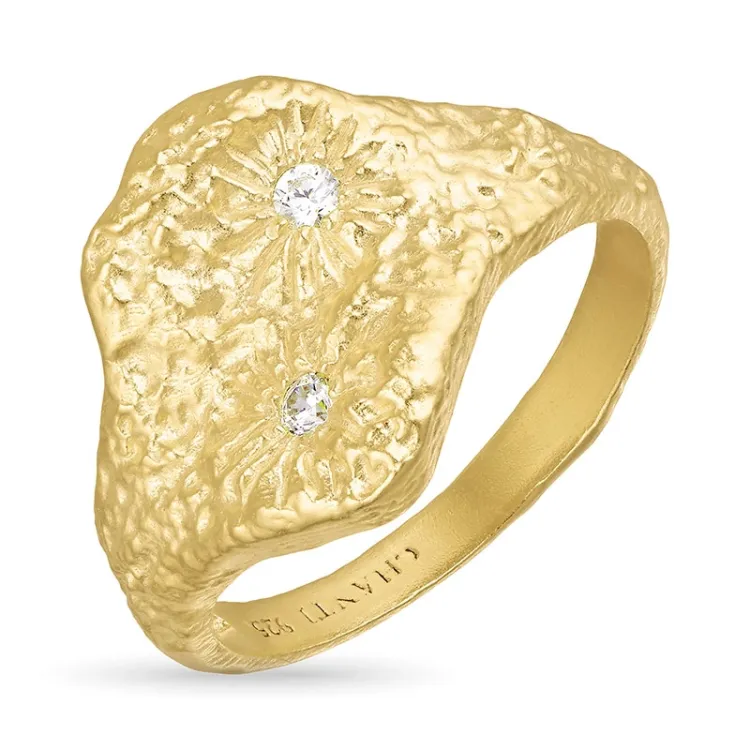Zirkon Ring aus vergoldetem Sterlingsilber - Lumé Etched