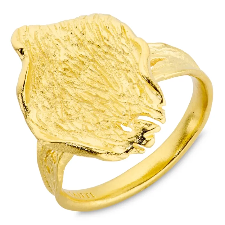 Ring aus vergoldetes Messing - Eliné