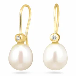 Ohrringe in 9 Karat Gold mit Zirkon - Gold Collection