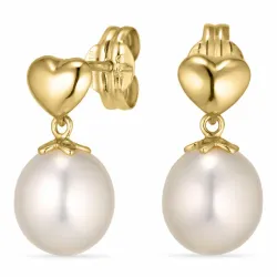 Herz Ohrringe in 14 Karat Gold - Gold Collection