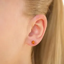 5 mm runden Bernstein Ohrringe in Silber