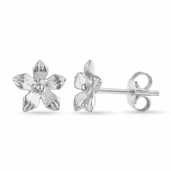 Blumen Ohrstecker in Silber - Pure Nature