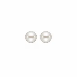 5 mm Aagaard Perle Ohrringe in Silber