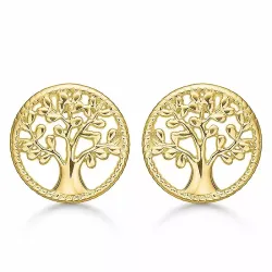 12 mm støvring design lebensbaum ohrringe in vergoldetem sterlingsilber