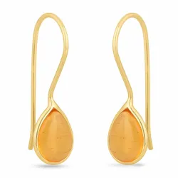Bernstein Ohrringe in vergoldetem Silber - Loom Stones